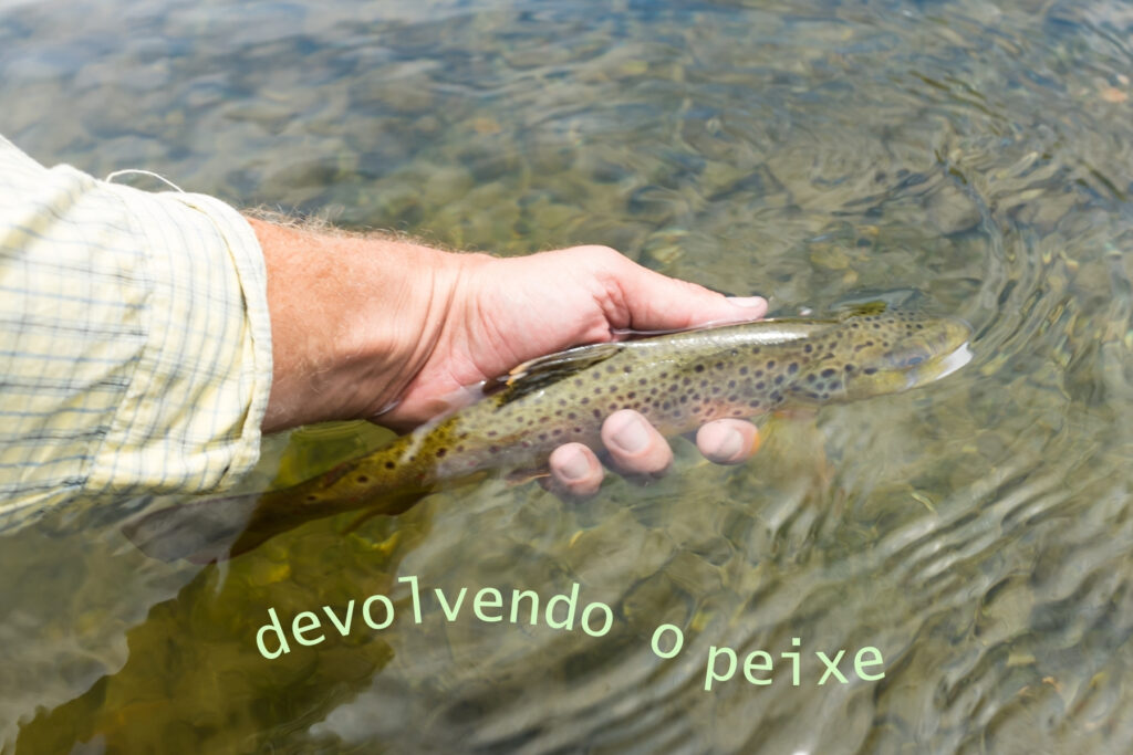 Aprenda como utilizar o anzol sem farpa na pesca esportiva devolve o peixe de forma mais saudável e sustentável.