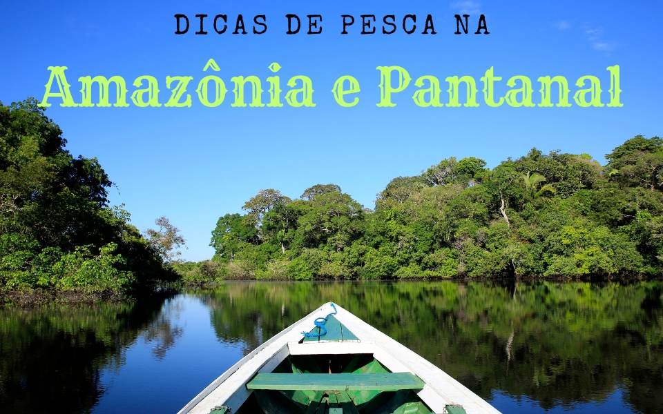 Sucesso na pesca na Amazônia e no Pantanal: dicas sobre equipamentos, iscas e técnicas essenciais para capturas incríveis.