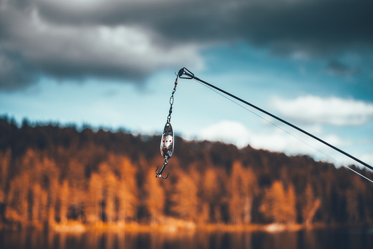 Vara de pesca para tucunaré, traíra e black bass: conheça as melhores marcas, libragem e tamanhos para capturas eficientes.