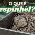 Descubra o que é o espinhel de pesca, para que serve e como utilizá-lo de forma eficaz, com dicas para capturar bagres, mandis e traíras.