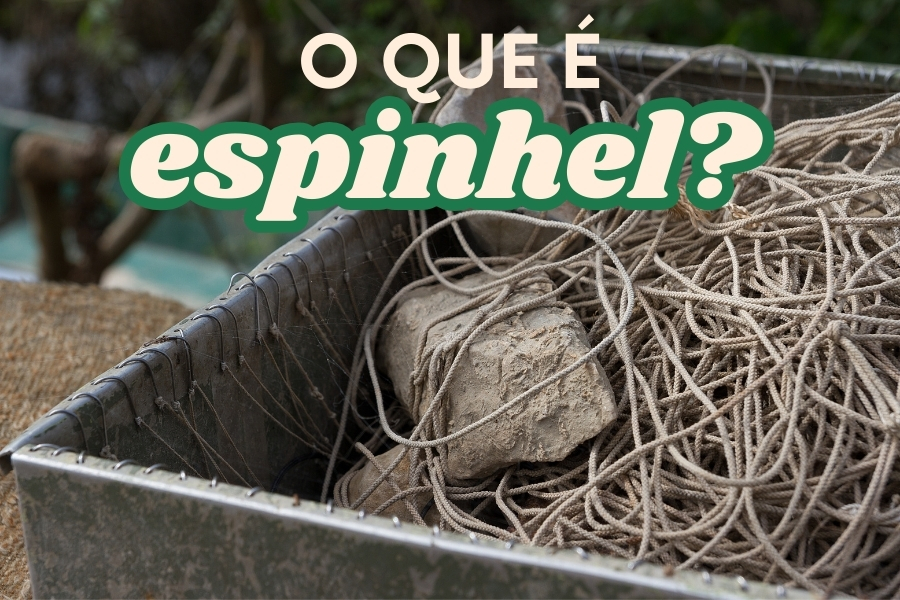 Descubra o que é o espinhel de pesca, para que serve e como utilizá-lo de forma eficaz, com dicas para capturar bagres, mandis e traíras.