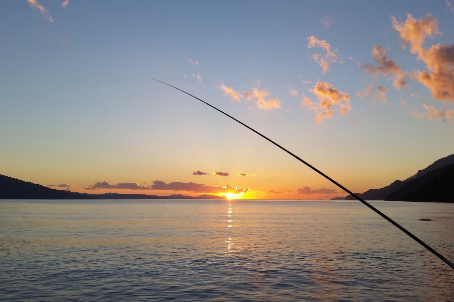 Varas de pesca telescópicas ganham destaque no Brasil pela leveza, resistência e praticidade em diferentes pescarias.