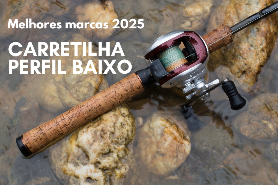 Conheça as 10 melhores marcas de carretilha perfil baixo de 2025. Descubra opções confiáveis e inovadoras para aprimorar sua pesca!